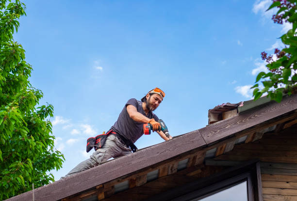 Best Hot Roofs  in Citrus Park, FL