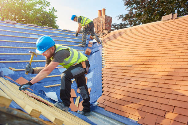 Best Roof Coating and Sealing  in Citrus Park, FL